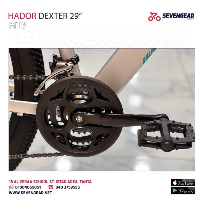 Hador Dexter 29" - Image 23