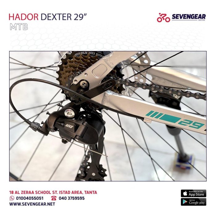 Hador Dexter 29" - Image 24