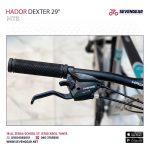 Hador Dexter 29" - Image 16