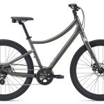 Giant Momentum Vida