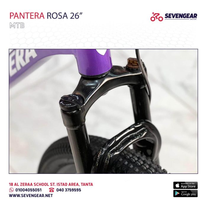 ⁦Pantera Rosa 26"⁩ - الصورة ⁦16⁩
