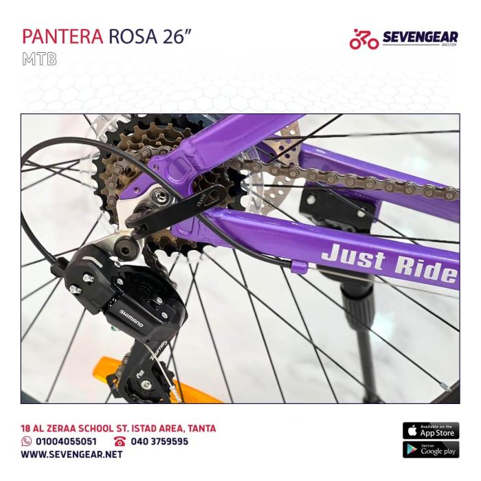 ⁦Pantera Rosa 26"⁩ - الصورة ⁦12⁩
