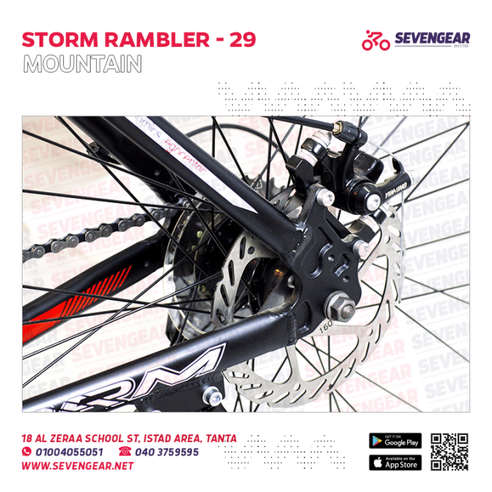 Storm Rambler 29" - Image 9