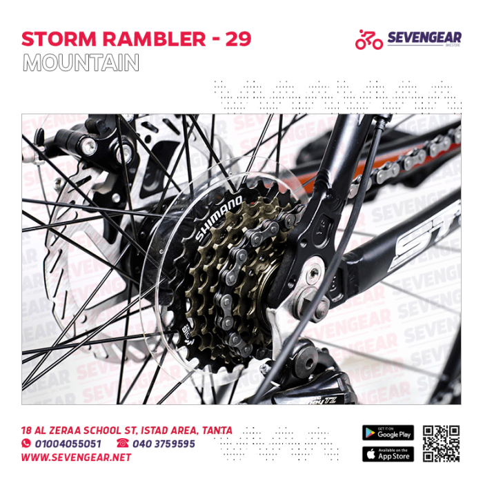 Storm Rambler 29" - Image 5