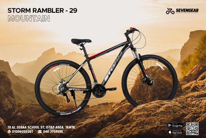 Storm Rambler 29" - Image 11