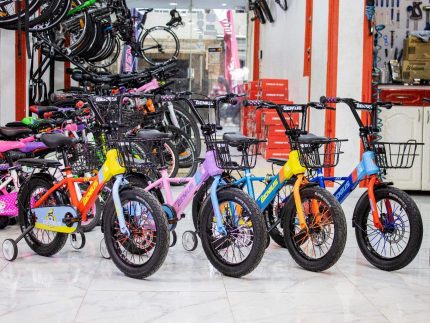 Super Genius Disk Kids Bike 16"
