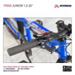 Trinx Junior 1.0 Disc 20″ - الصورة 6