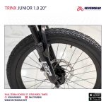 Trinx Junior 1.0 Disc 20″ - الصورة 7
