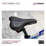 Trinx Junior 1.0 Disc 20″ - الصورة 8