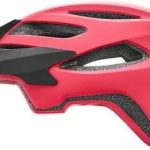 Giant Roost Helmet