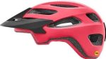 Giant Roost Helmet